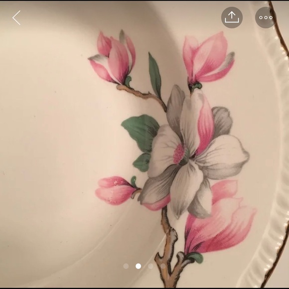 HP Vintage beautiful Homer Laughlin. Golden rims. - Picture 3 of 4